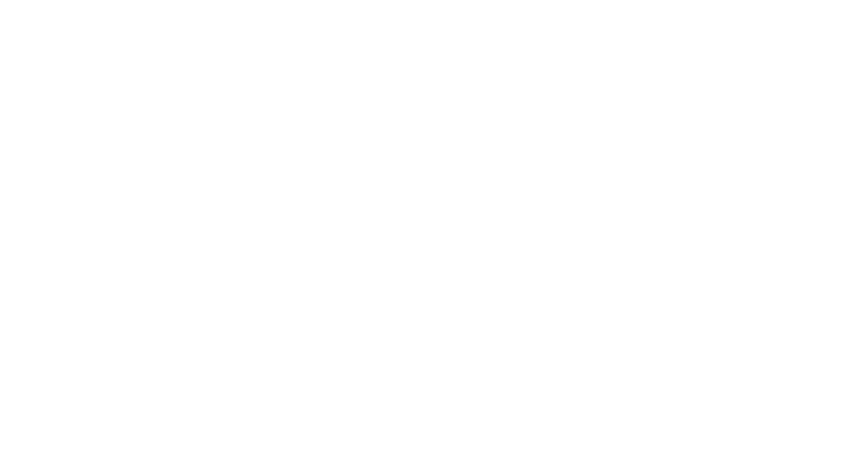 Empresa: Luego de 30 años realizando proyectos para grandes empresas, pymes y start ups armamos OrangeBrand con presencia en Buenos Aires, Nueva York y Barcelona.